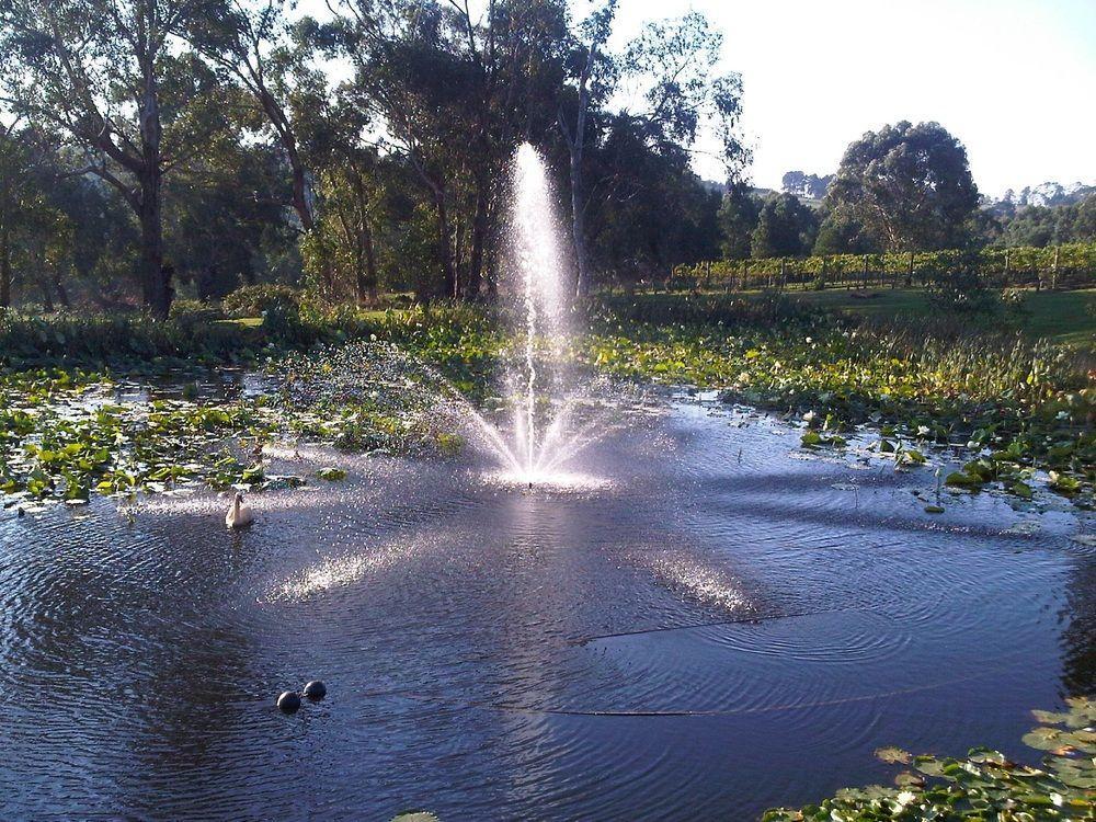 Wild Cattle Creek Estate Bed and Breakfast Wandin Yallock Buitenkant foto